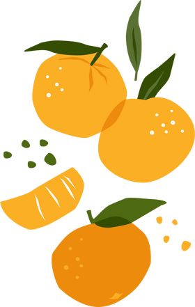 Tangerines. Modern illustration